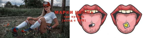 стаф Козельск