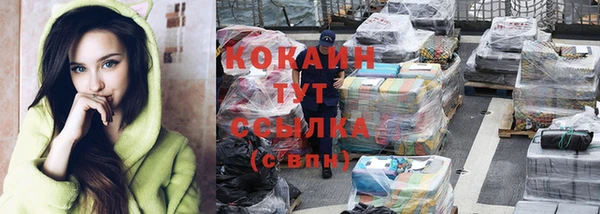 стаф Козельск