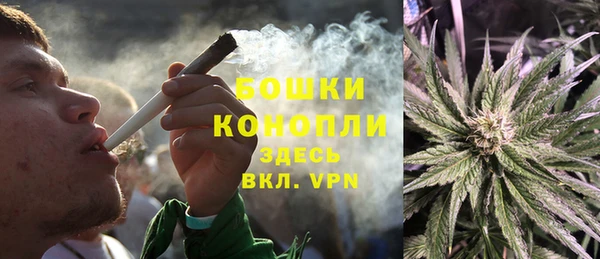 стаф Козельск