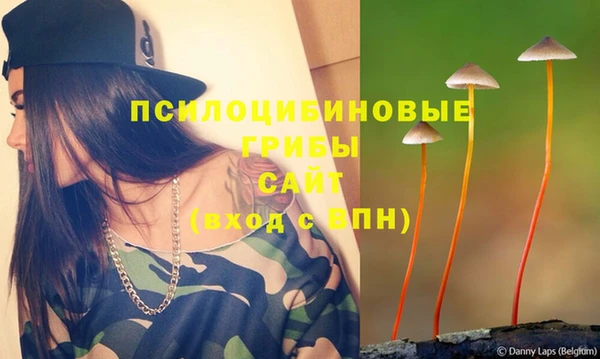 стаф Козельск